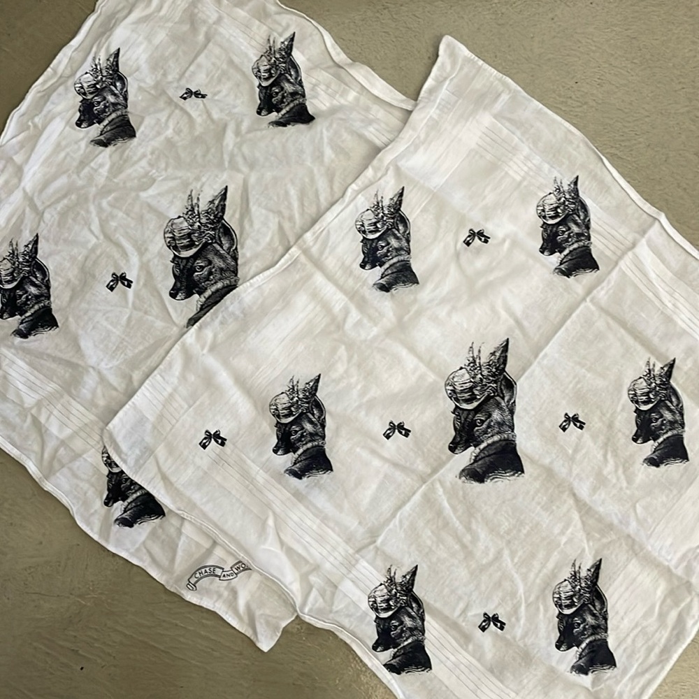 Chase and Wonder handkerchief set